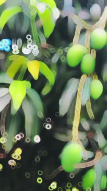 @🦋⍣⃝AℓᎥ rͥazͣaͫ 𝐏ʍ𝓁ꫜ 🥵❤️&zwj;🔥