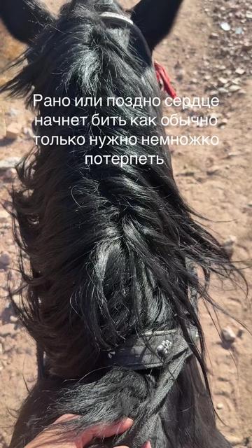 @R&rsquo;🇺🇿
