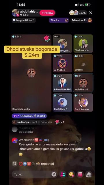 @Xamda02