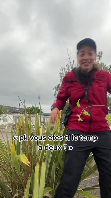 @le Zz