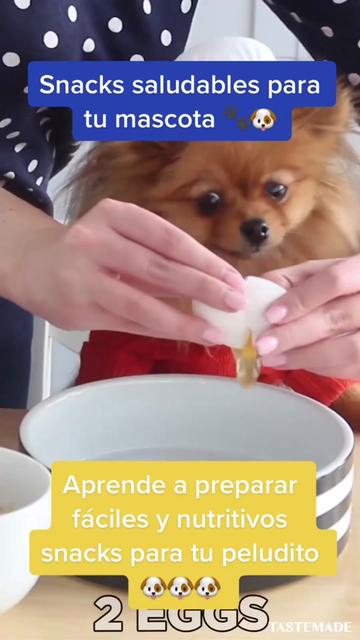 @mascotasfelices