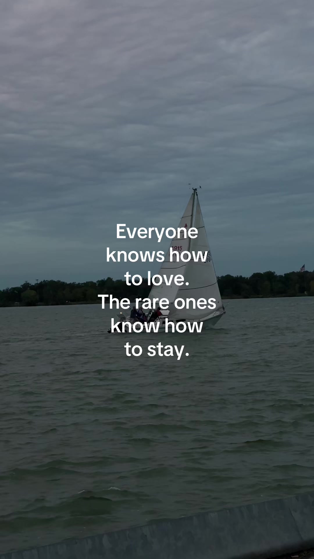 @ℒ ᥫ᭡