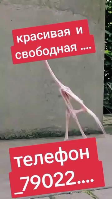 @Ирина