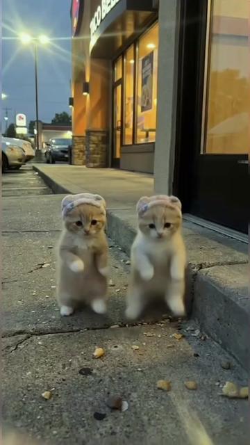 @Sto42