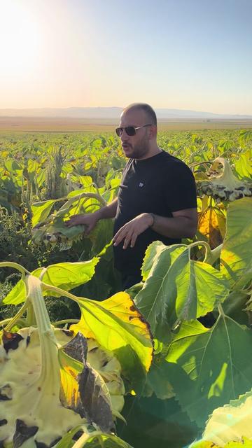 @AGROŞİMŞEK TARIM ÜRÜNLERİ