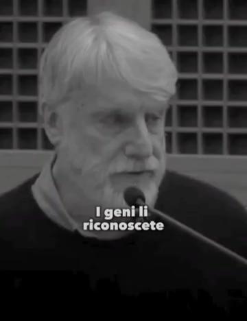 @giannidellatti
