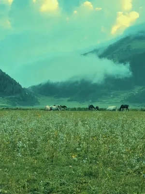 @Biplob Shakya