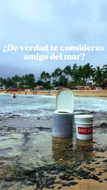 @Hali🌿 de Cultura Regenerativa