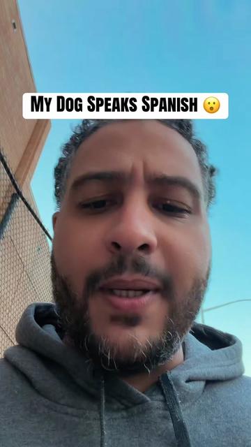 @iamJerm