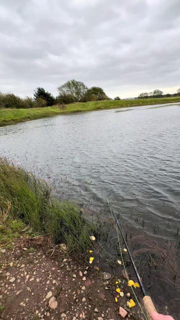 @Alba Trout 🏴