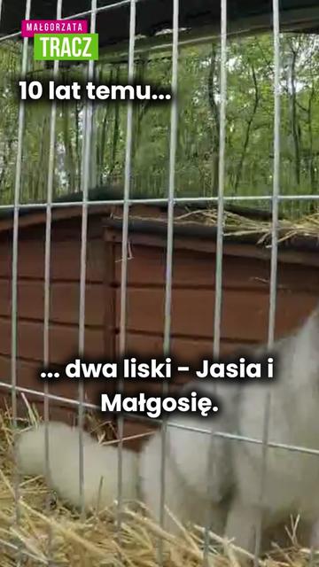 @Małgorzata Tracz