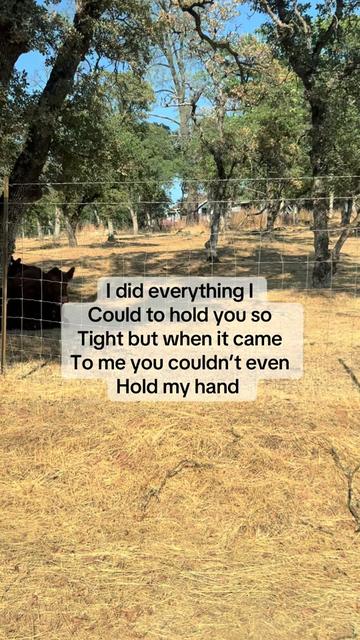 @BoundariesofmyHeart