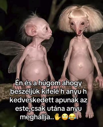 @♡🌷Kovács Melinda𓍢ִ໋🌷͙֒♡