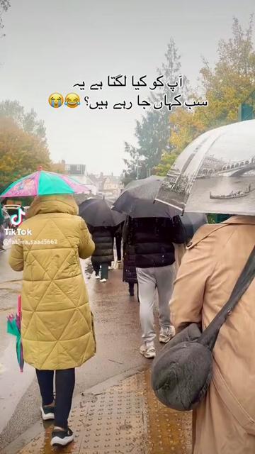 @zunisha kashif