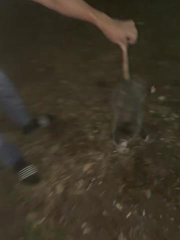 @Antonio Gutierrez