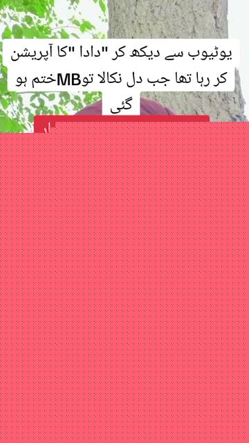 @🌹پنڈا آلے🌱🌾🇵🇰