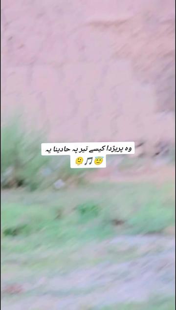 @༼ ❌↗ 𝙎𝘿𝙍.spinwal ↖ ༽❌