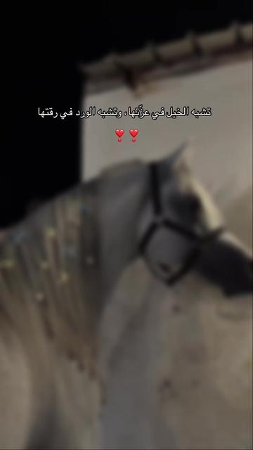@تـبـاركـ🌸