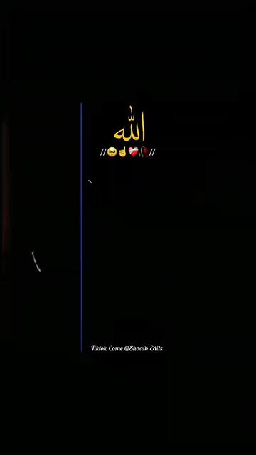 @malikmalik Yunus