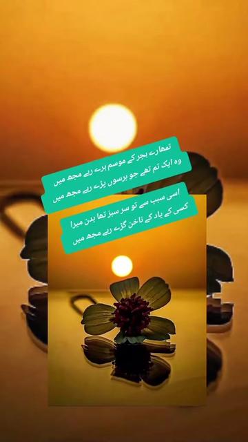 @❦︎༄🦋🅐︎ Ⓚ︎🅗︎Ⓐ︎🅝︎🦋࿐