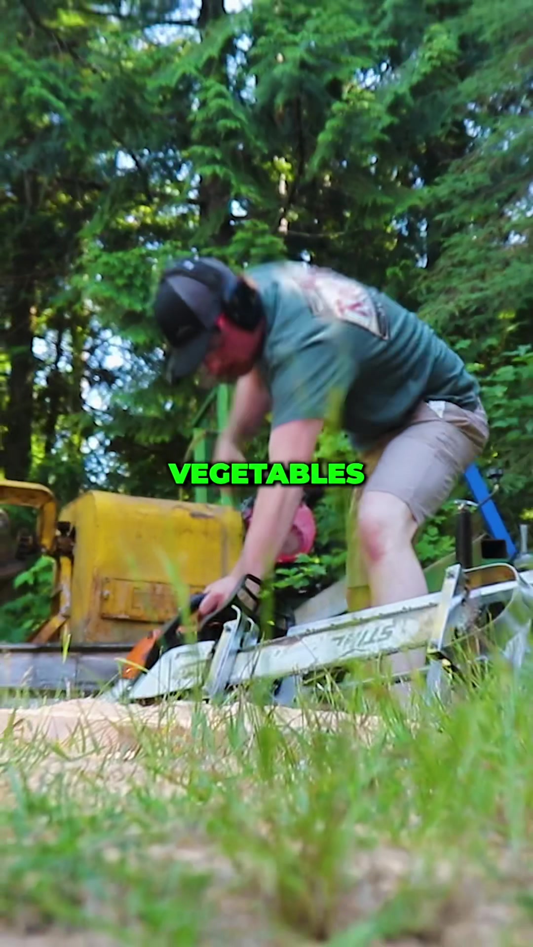 @That Thing We Did