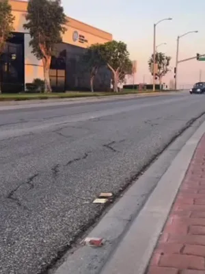 @RealstreetDino