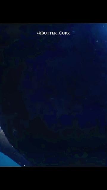 @𓆰 B͙u͙t͙t͙e͙r͙_C͙u͙p͙x͙ 𓆪