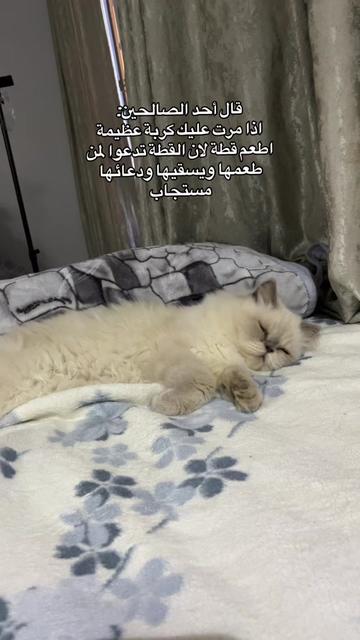 @د/ عشري