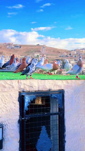@اسماعيل