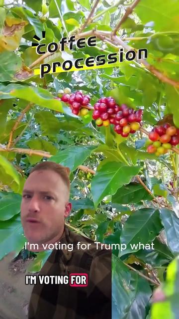 @ady23zy