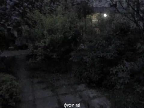@𝓶𝓪𝓲𝓲✮⋆˙♡