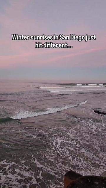 @thesurfersnook