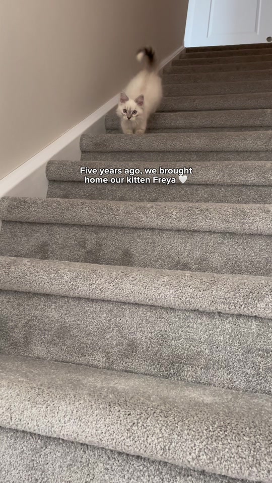 @Freya & Teddy