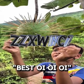 @ZZXWNCH