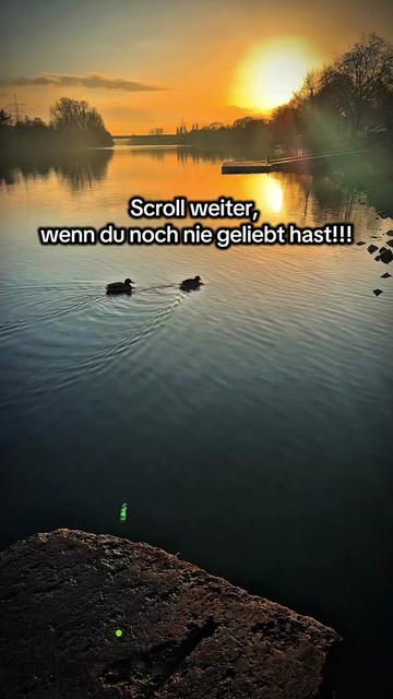 @Mijo Lesina