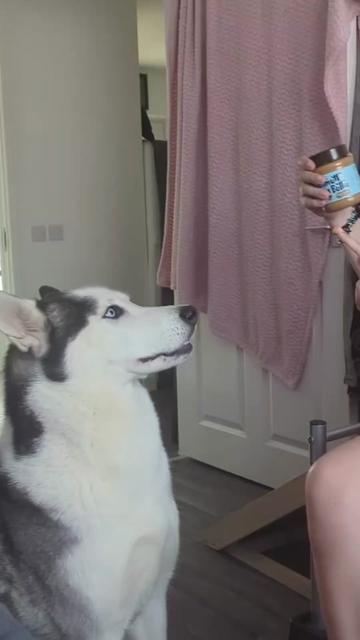 @Freya & Kuma