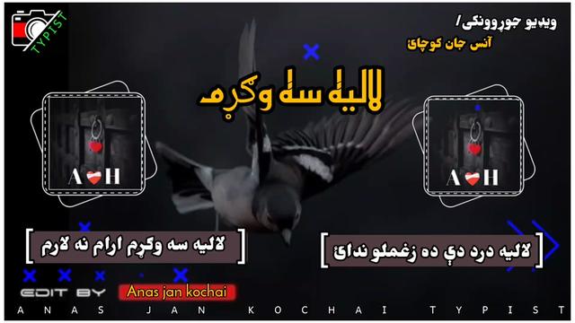 @AnAs JaN waziristani🥷🕊️