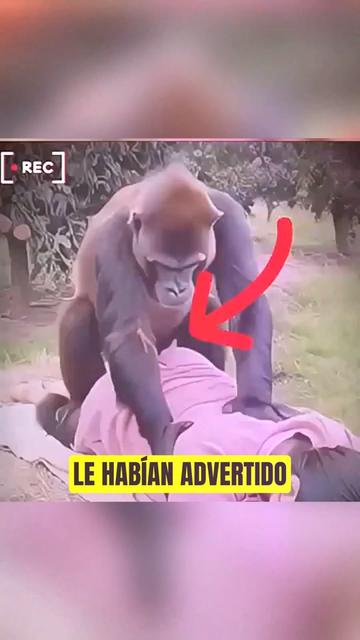 @História_real_estrangeiro