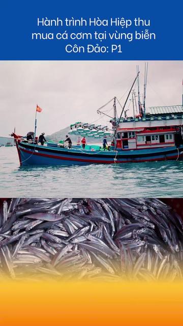 @Hòa Hiệp Foods Official