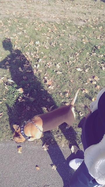 @💚 Sarii 💚