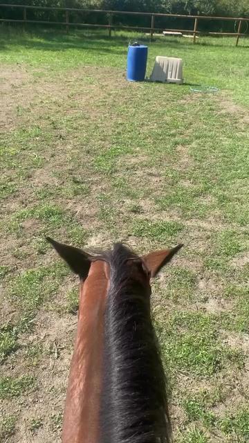 @Horsewoman Trip