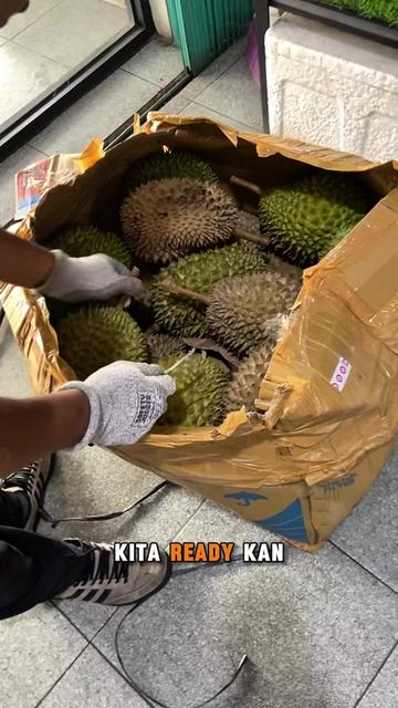 @CICIP DURIAN