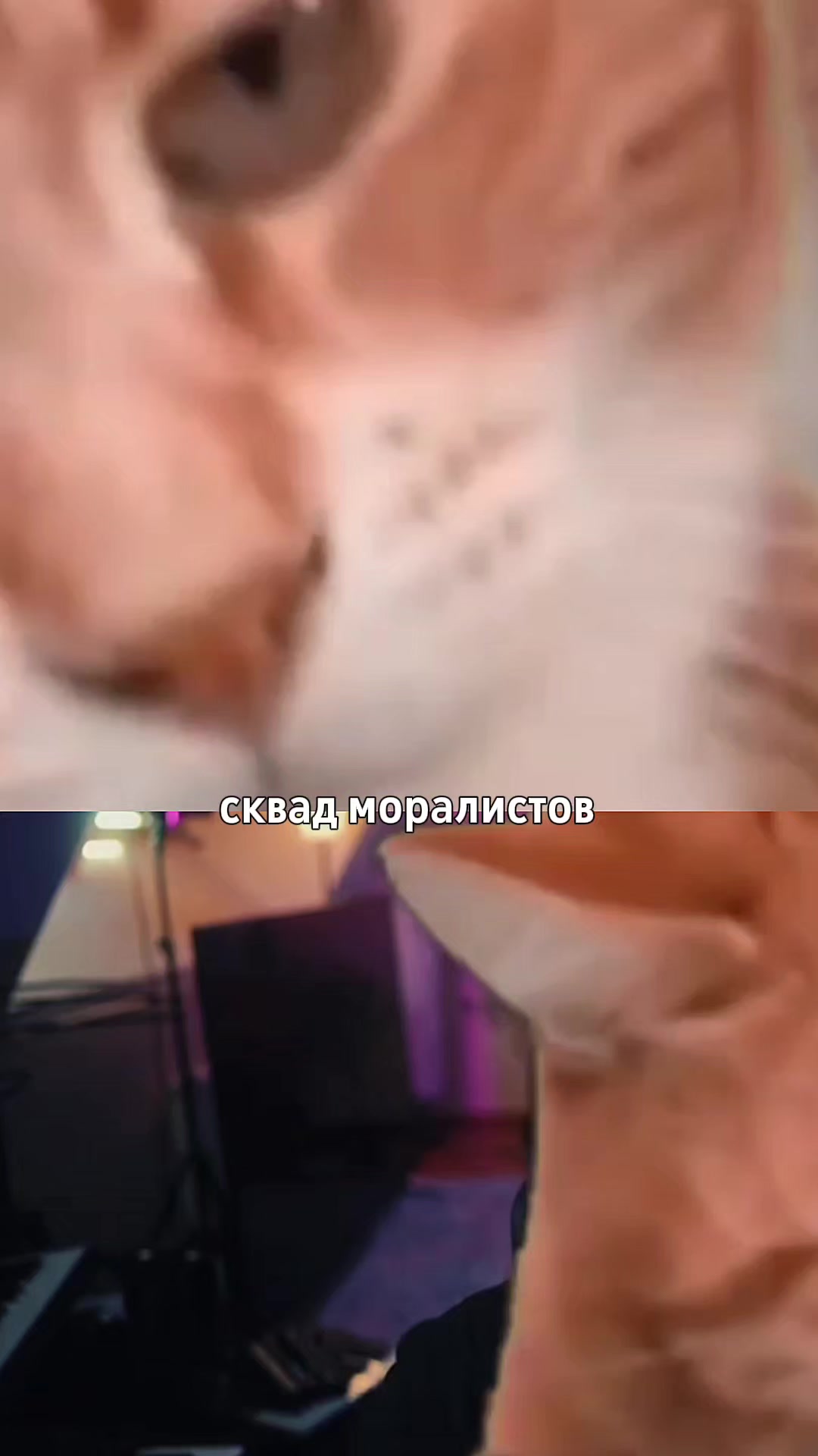 @пикчим