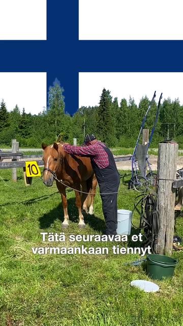 @Suomen Hippos ry