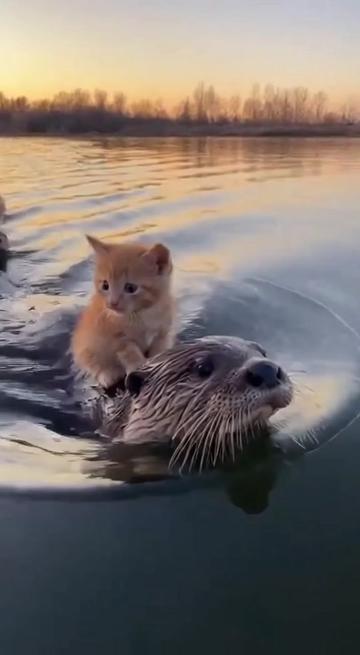 @Baozi in the Wild