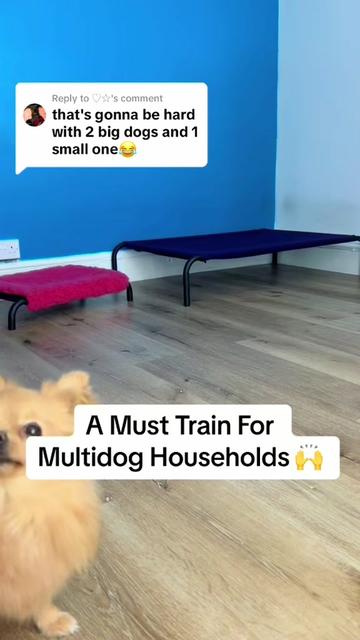 @Tesla | Home Built Dog 🐾