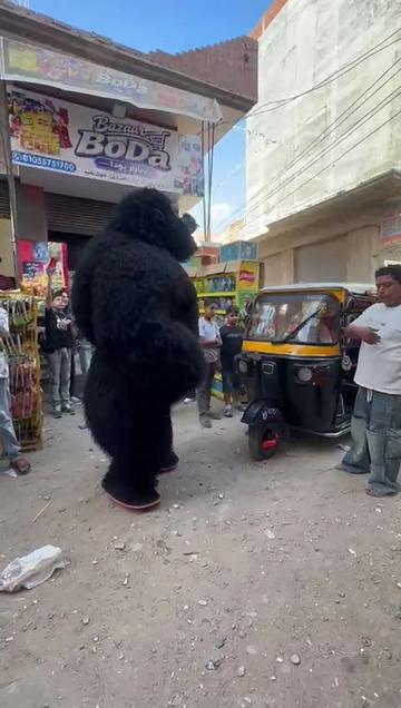 @بودا بتاع غوريلا🦍🔥