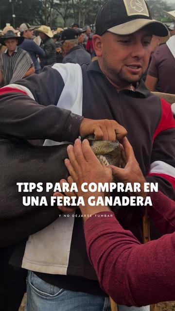 @Rehagronegocios