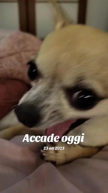 @Irene Piero Celli Sa