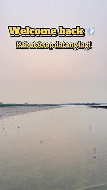 @PAPAY__YA